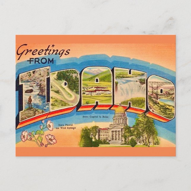 Carte Postale Idaho Vintage Postcard (Devant)