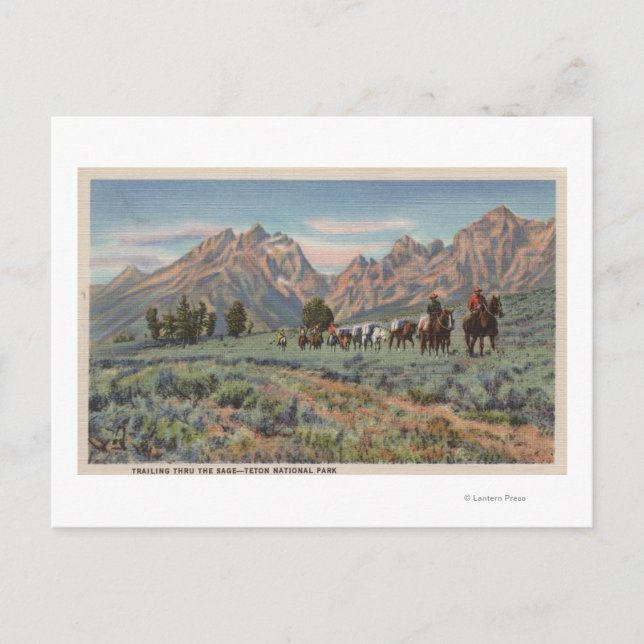 Carte Postale Idaho - Vue des hommes à cheval sur Teton Mts. (Devant)