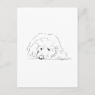 Carte Postale Idées de cadeaux pour amoureux de chiens, chiots C