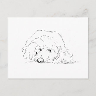 Carte Postale Idées de cadeaux pour amoureux de chiens, chiots C