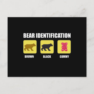 Carte Postale Identification de l'ours drôle