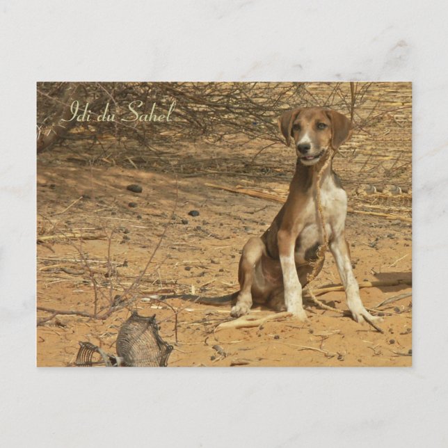 Carte postale Idi du Sahel Postcard (Front)
