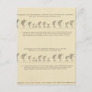 Carte Postale Idiots, statistique US Lithograph 1870