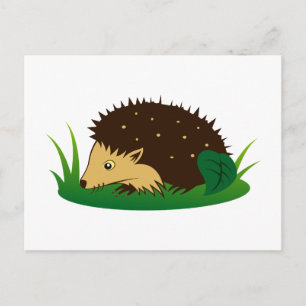 Carte Postale Igel hedgehog