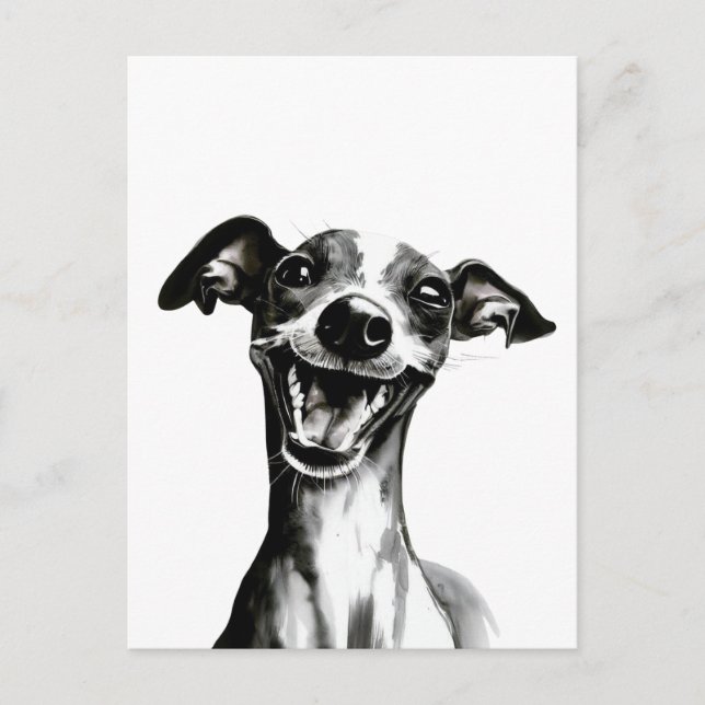 Carte Postale Iggy noir et blanc | Cute Greyhound italien (Devant)