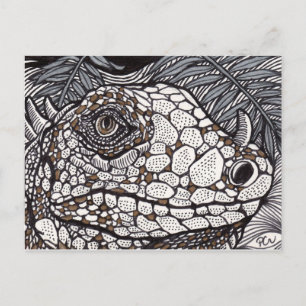 Carte Postale Iguana en colère