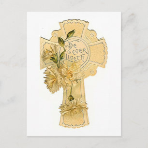 Carte Postale Il a toujours vécu