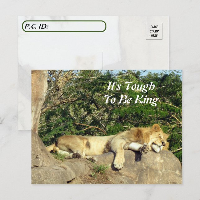 Carte Postale Il est difficile d'être roi - Pic de Lion Dormir (Devant / Derrière)