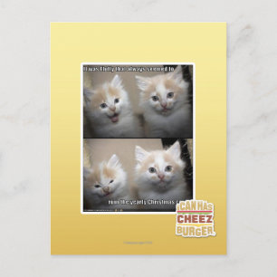 Carte Postale Il était pelucheux