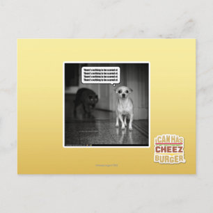 Carte Postale Il n'y a rien à craindre