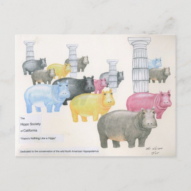 Carte Postale Il n'y a rien de tel qu'un hippo (Devant)