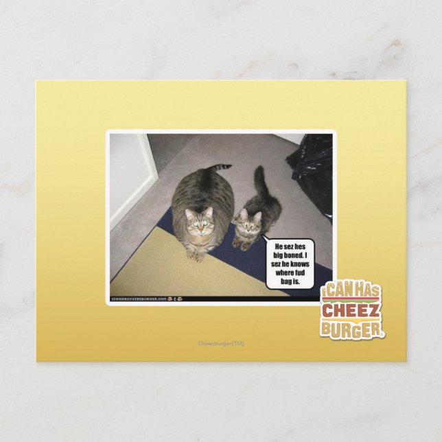 Carte Postale Il se fait chier. (Devant)