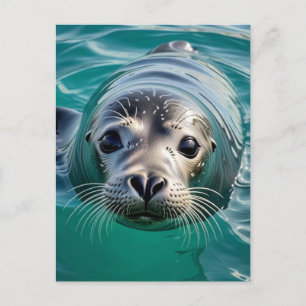 Carte Postale Il suffit de vous enregistrer Maintenir le conta