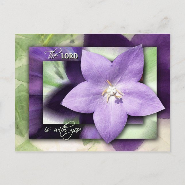 Carte Postale Il Te Calmera avec Son Amour (Devant)