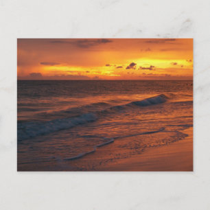 Carte Postale Île Anna Maria, FL