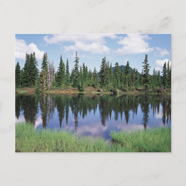 Carte Postale Île de Vancouver, parc provincial Strathcona 2 (Devant)