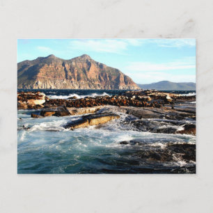 Carte Postale Île Duiker, Afrique du Sud