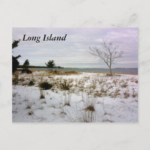 Carte Postale Île Long Island-Shelter