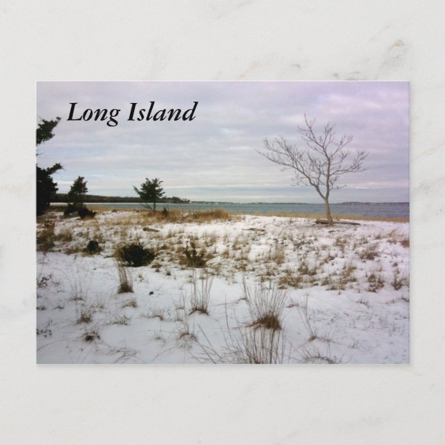 Carte Postale Île Long Island-Shelter (Devant)