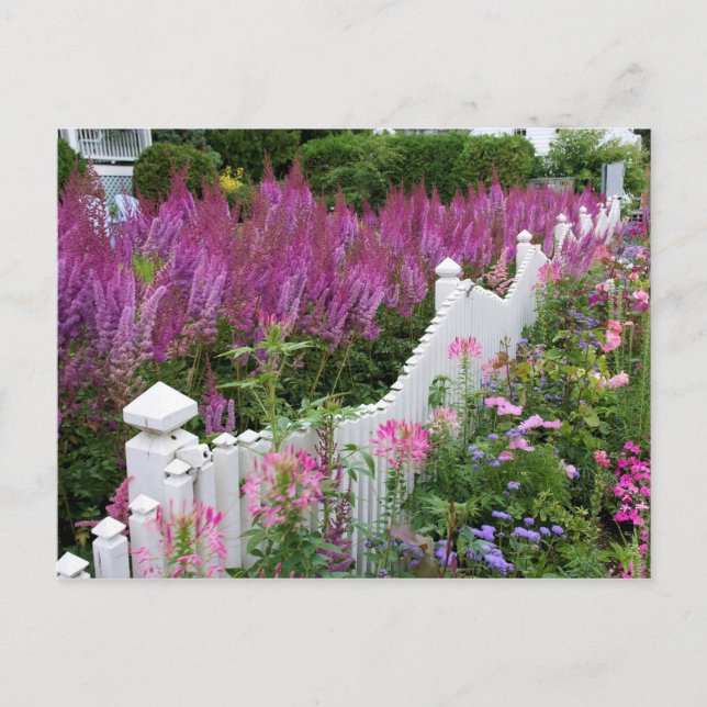Carte Postale Île Mackinac, Michigan Garden (Devant)