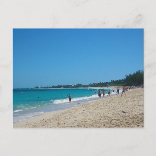 Carte Postale Île Paradis (Devant)