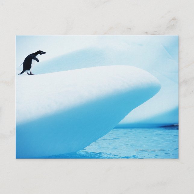 Carte Postale Île Petermann, Antarctique (Devant)