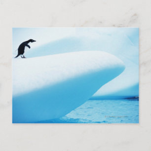 Carte Postale Île Petermann, Antarctique