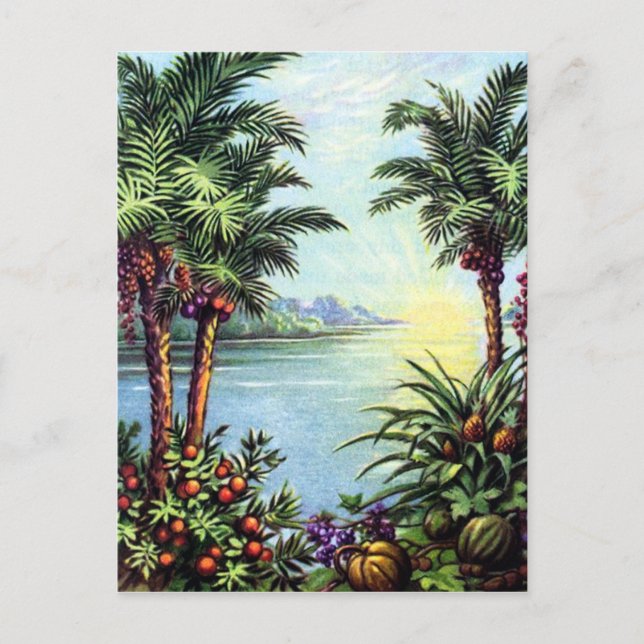 Carte Postale Île vintage (Devant)