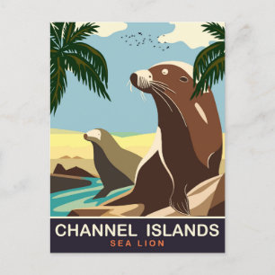 Carte Postale Îles Channel, Lion de mer, Voyage