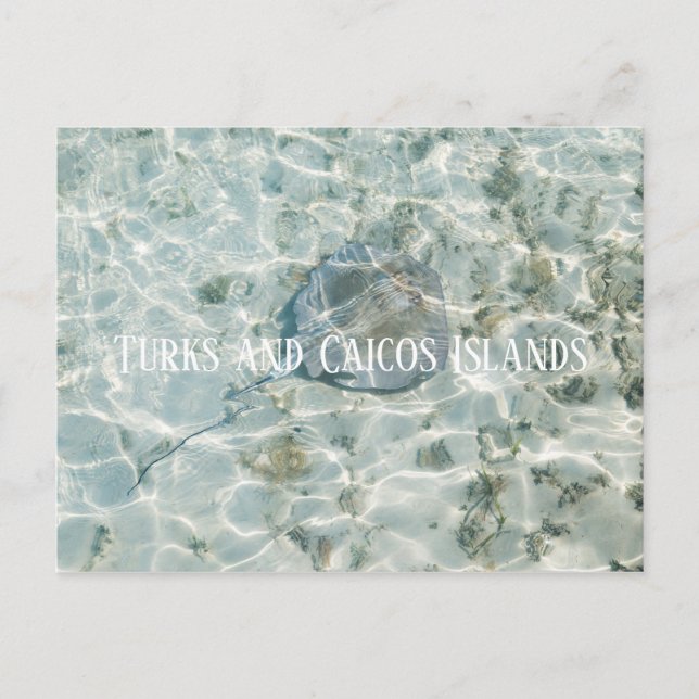 Carte Postale Îles Turques et Caïques (Devant)