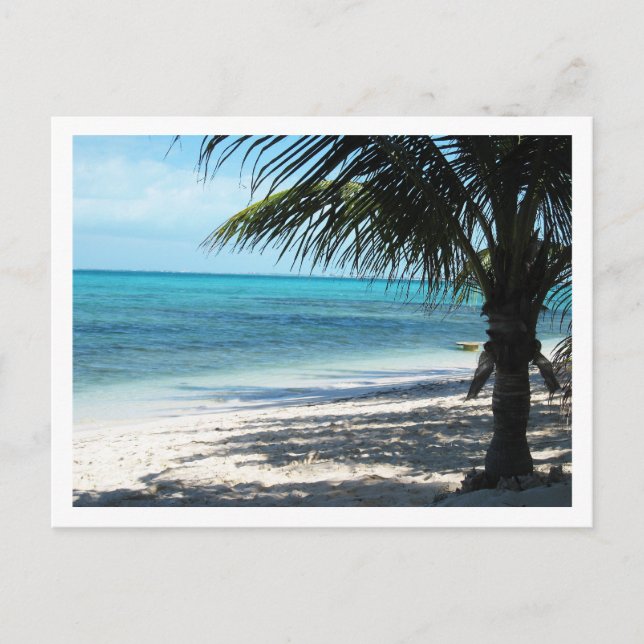 Carte Postale Îles Turques et Caïques (Devant)