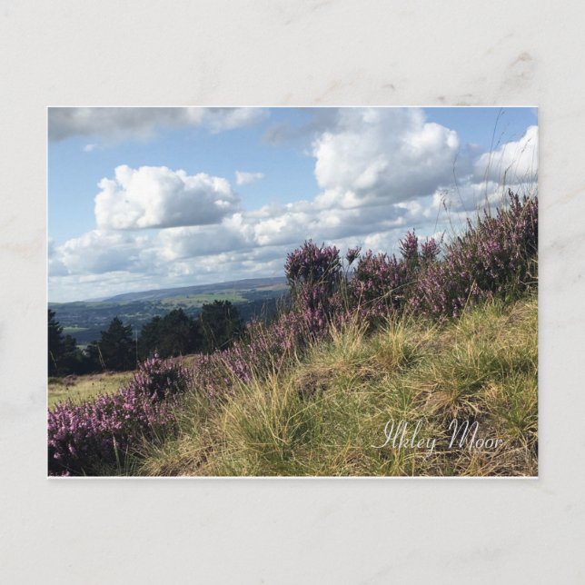 Carte postale Ilkley Moor (Devant)