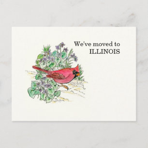 Carte Postale Illinois