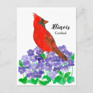 Carte Postale Illinois Cardinal Violettes en bois violet