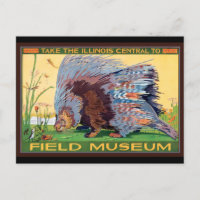 Illinois Central to Field Museum Porcupine