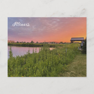 Carte postale Illinois Field