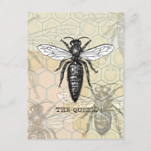 Carte Postale Illustration Antique d'Insecte de Bourdon Reine Ab