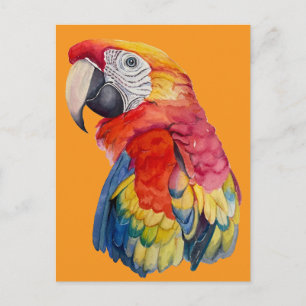 Carte Postale Illustration aquarelle de perroquet coloré