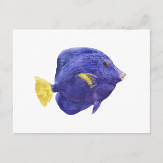 Carte Postale Illustration aquarelle de poisson tang violet