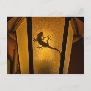 Carte Postale Illustration artistique de lézard