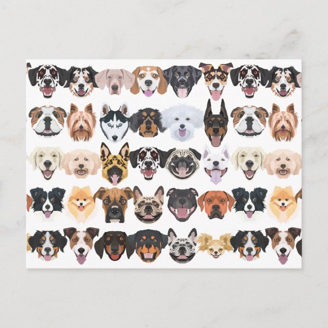 Carte Postale Illustration - Beaucoup rient et de jolies chiens (Devant)