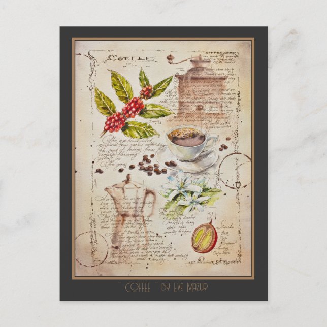 Carte Postale Illustration botanique de café peint par EVE       (Devant)