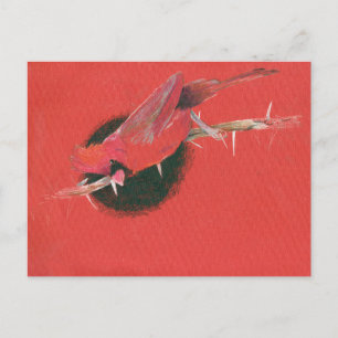Carte Postale Illustration cardinale d'oiseau dessin rouge noir