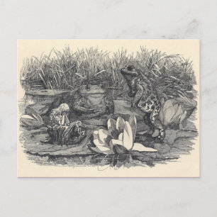 Carte postale Illustration classique