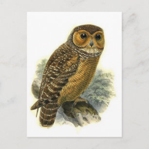 Carte postale Illustration classique