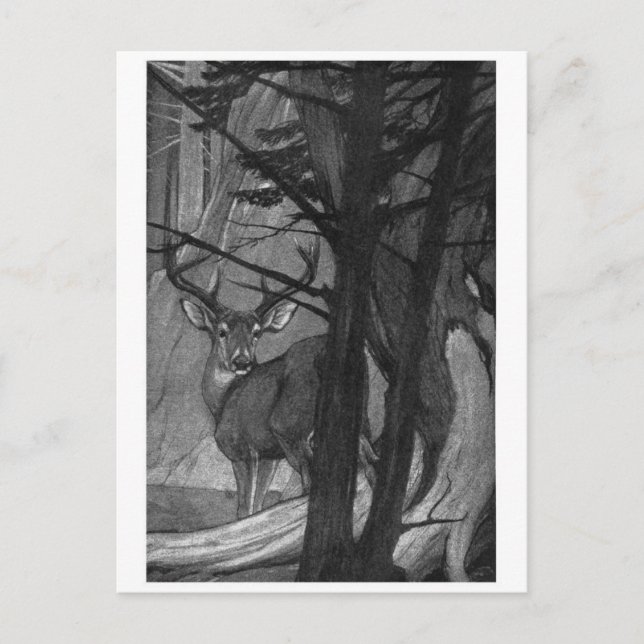 Carte postale Illustration classique (Devant)