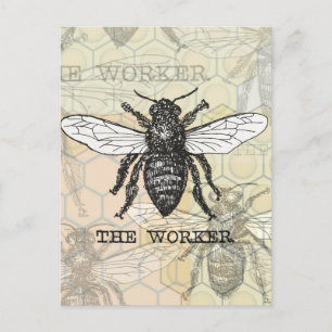 Carte Postale Illustration d'abeille ouvrière vintage