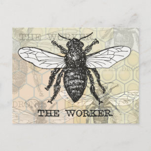 Carte Postale Illustration d'abeille ouvrière vintage