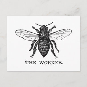 Carte Postale Illustration d'abeille ouvrière vintage
