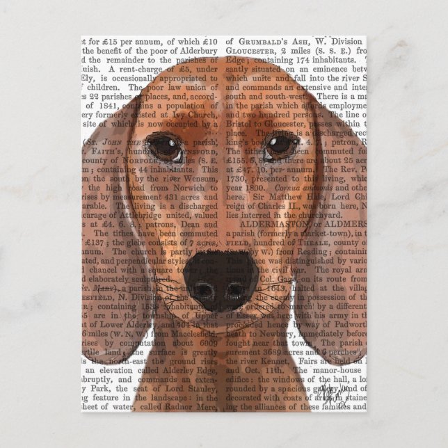 Carte Postale Illustration Dachshund Plain (Devant)